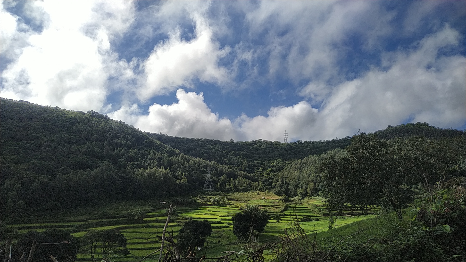 Araku Valley gallery 3