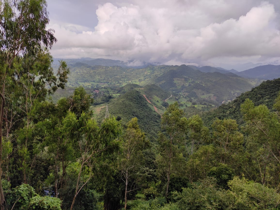 Araku Valley gallery 4