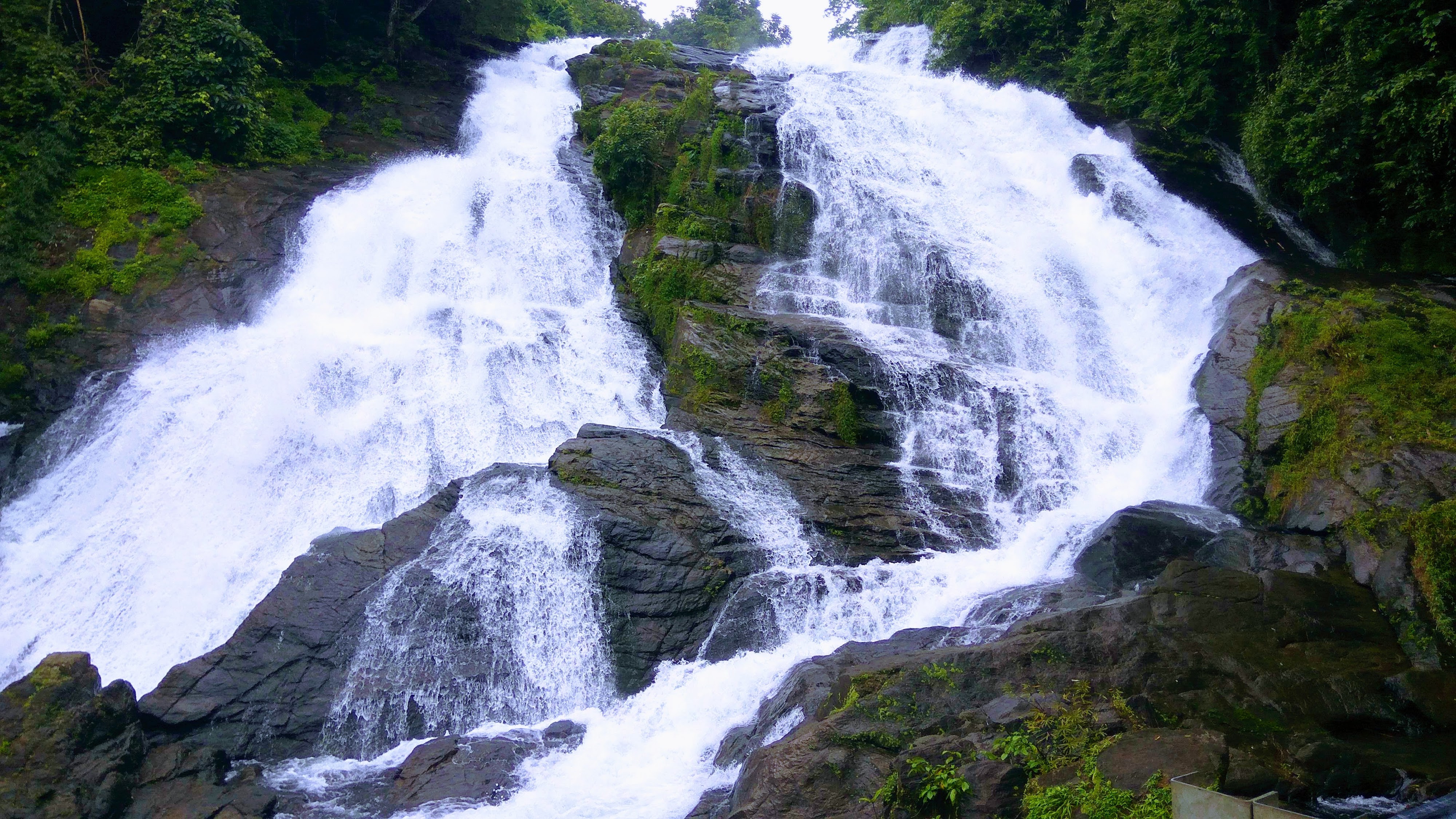 Athirappilly gallery 4
