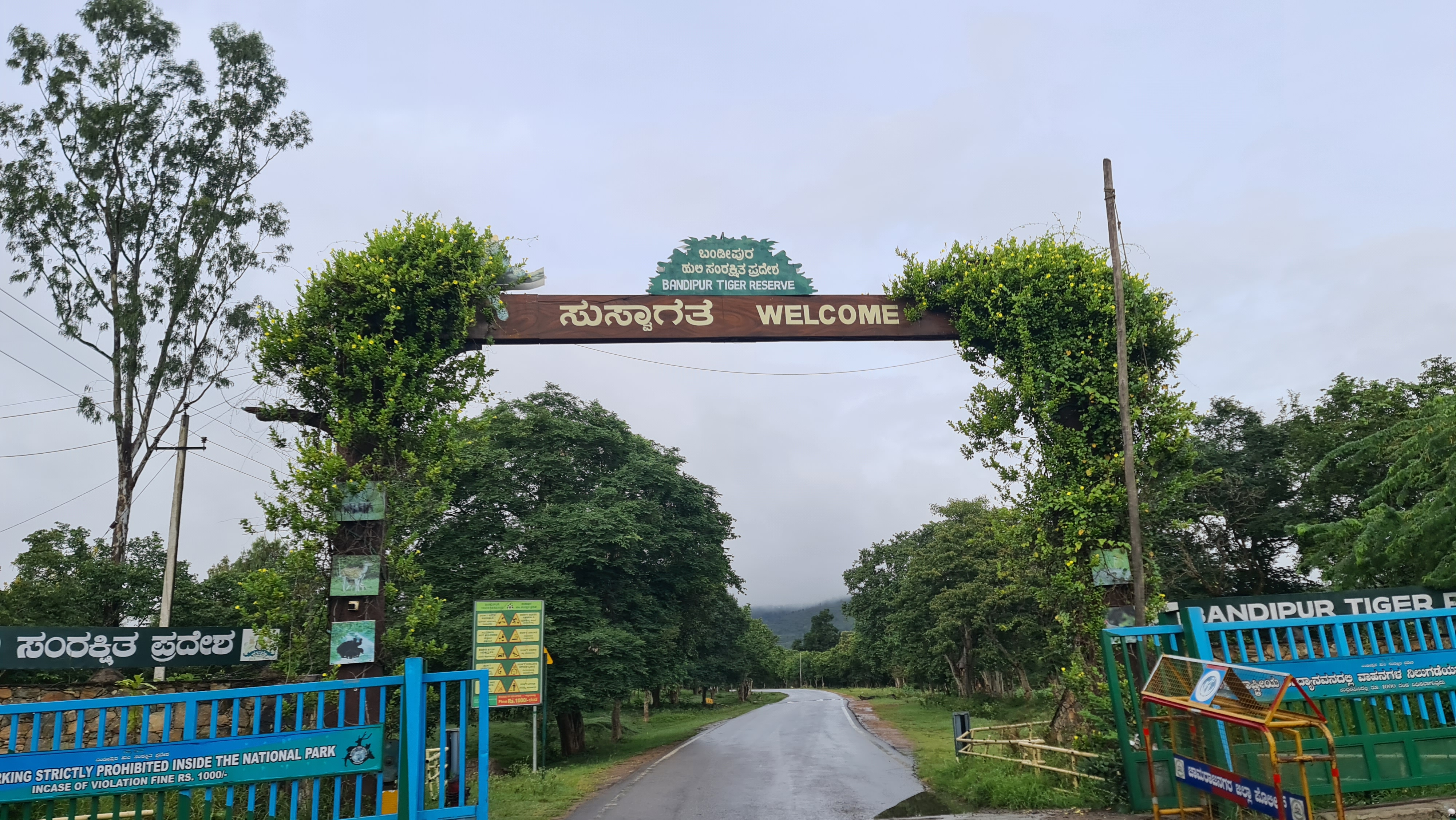 Bandipur, Karnataka — Wildlife