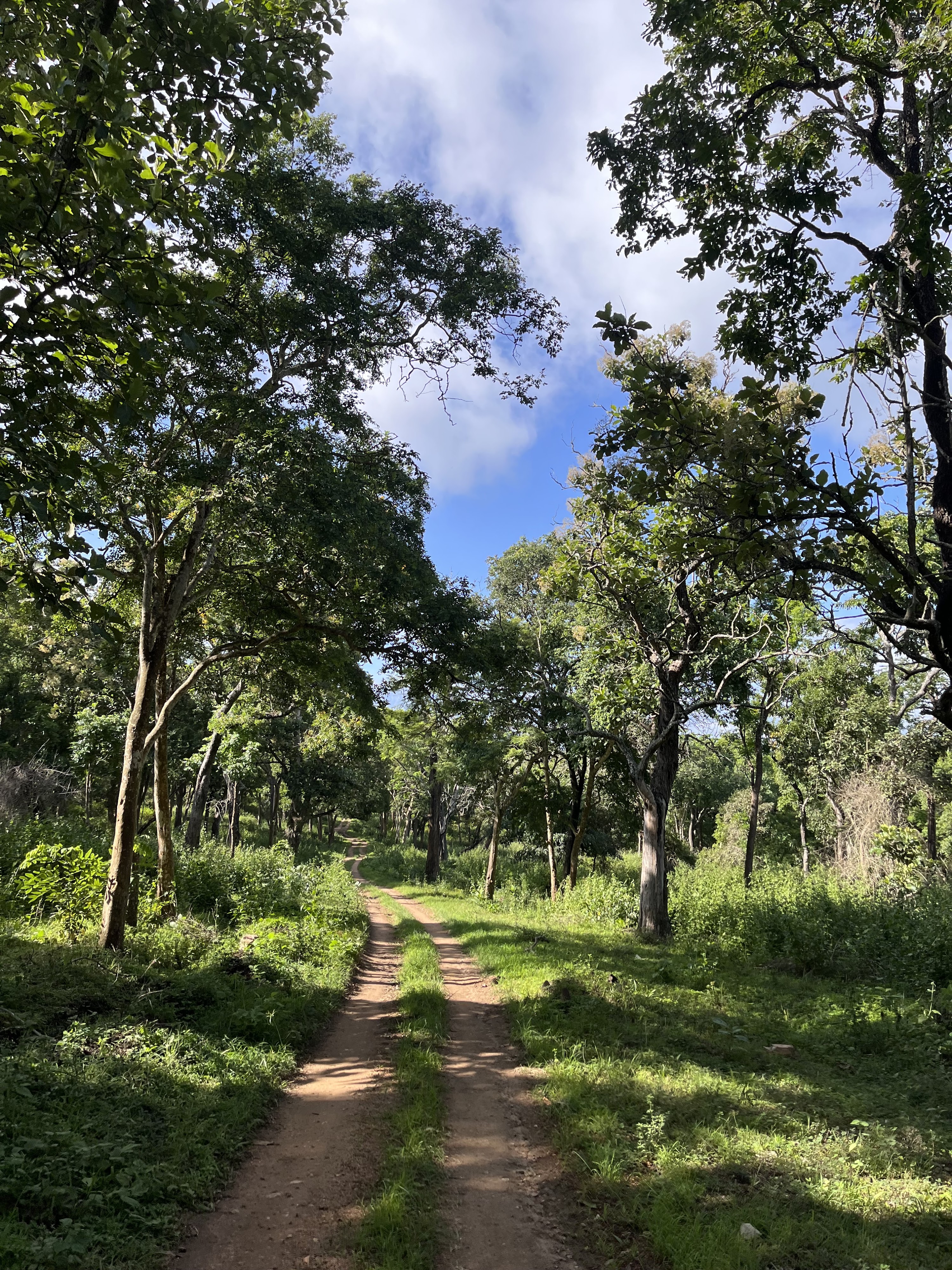 Bandipur gallery 3