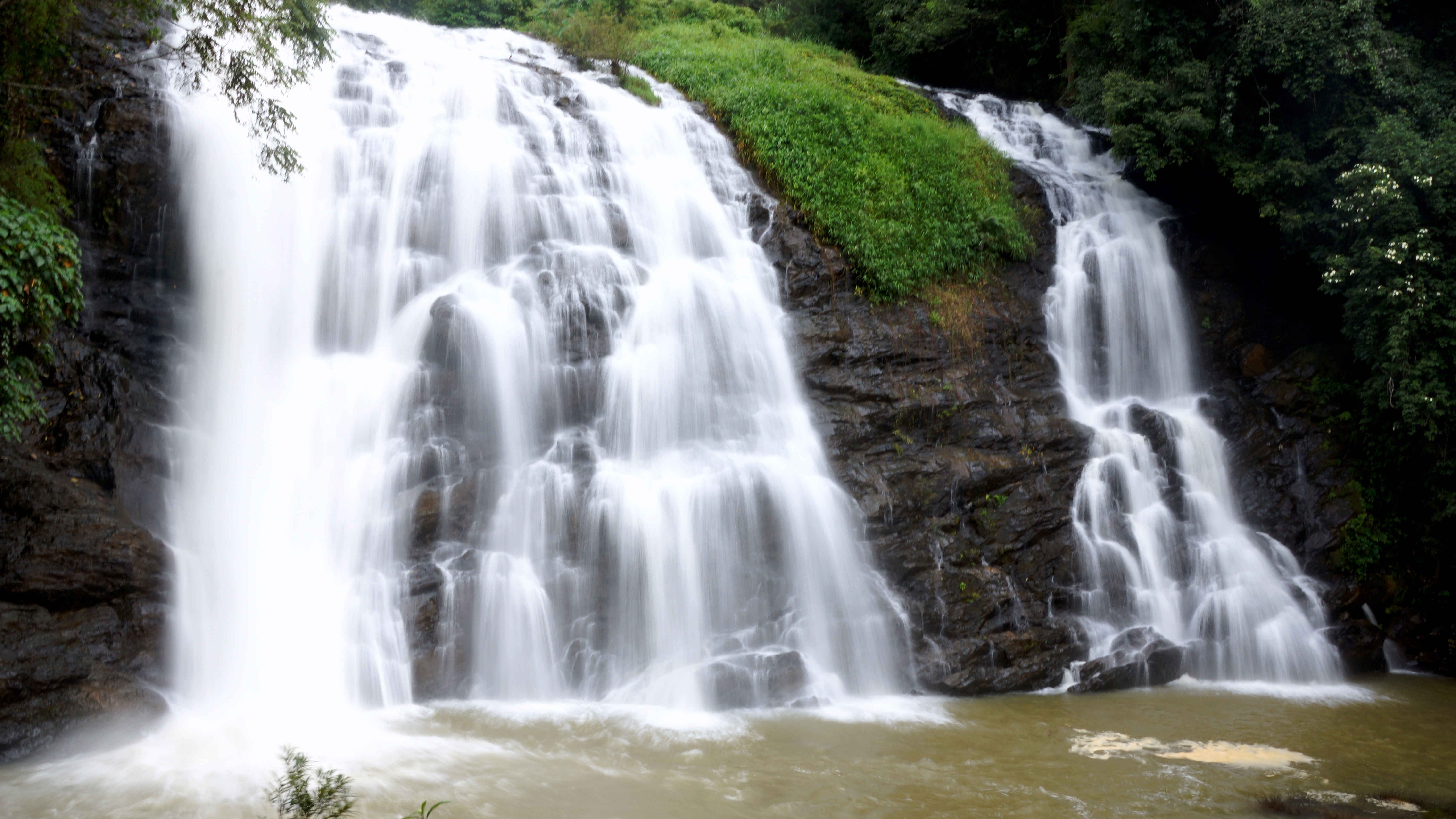 Coorg gallery 1