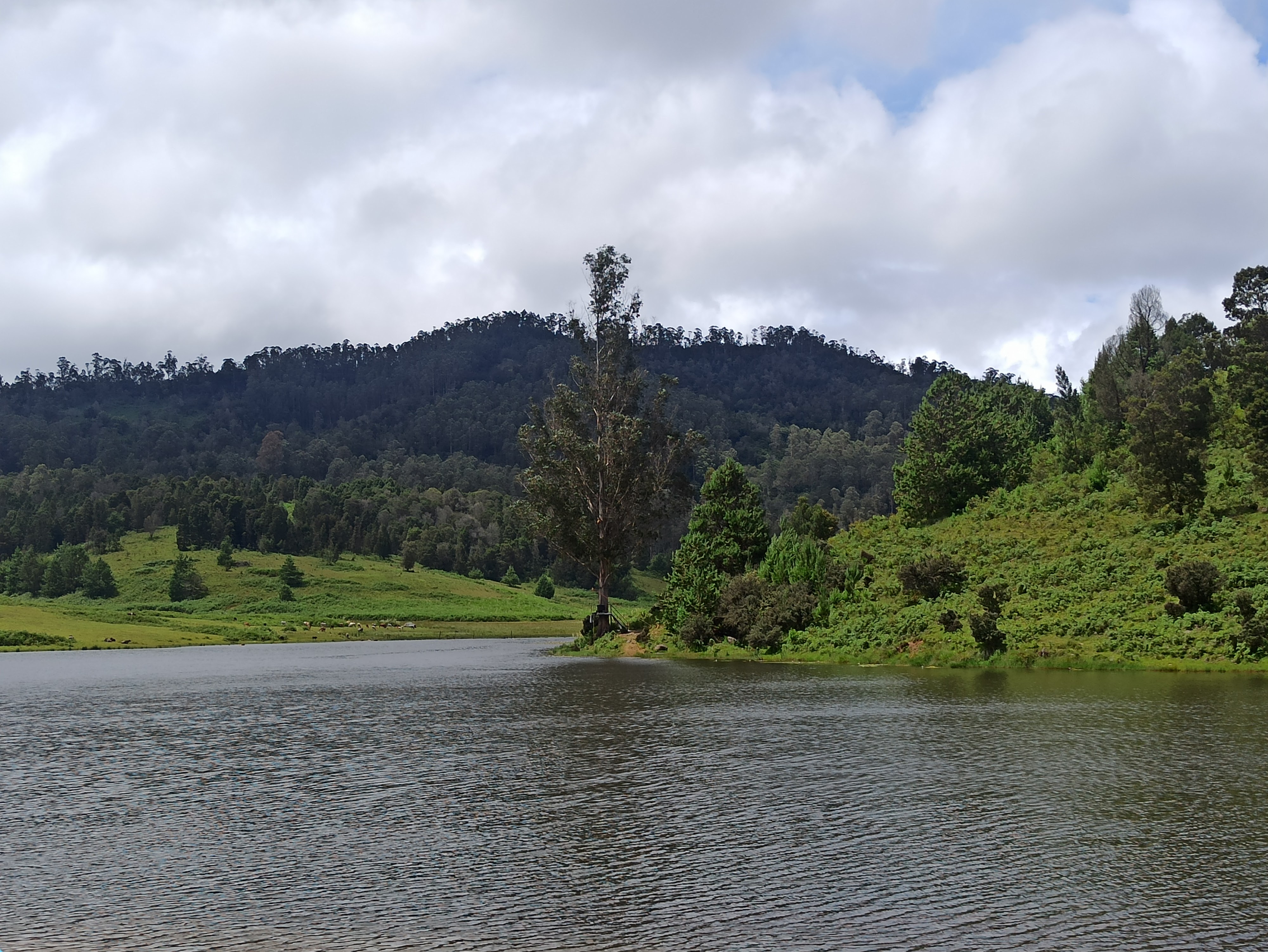 Kodaikanal gallery 4
