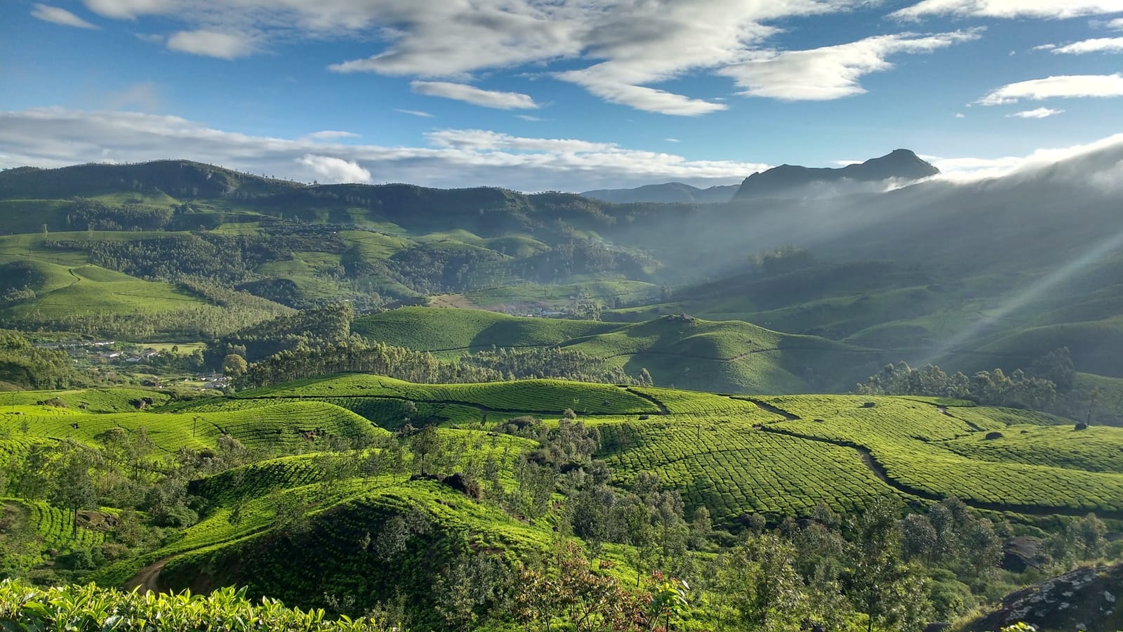 Tea plantations in the Western Ghats near Munnar, a popular road trip from Bangalore