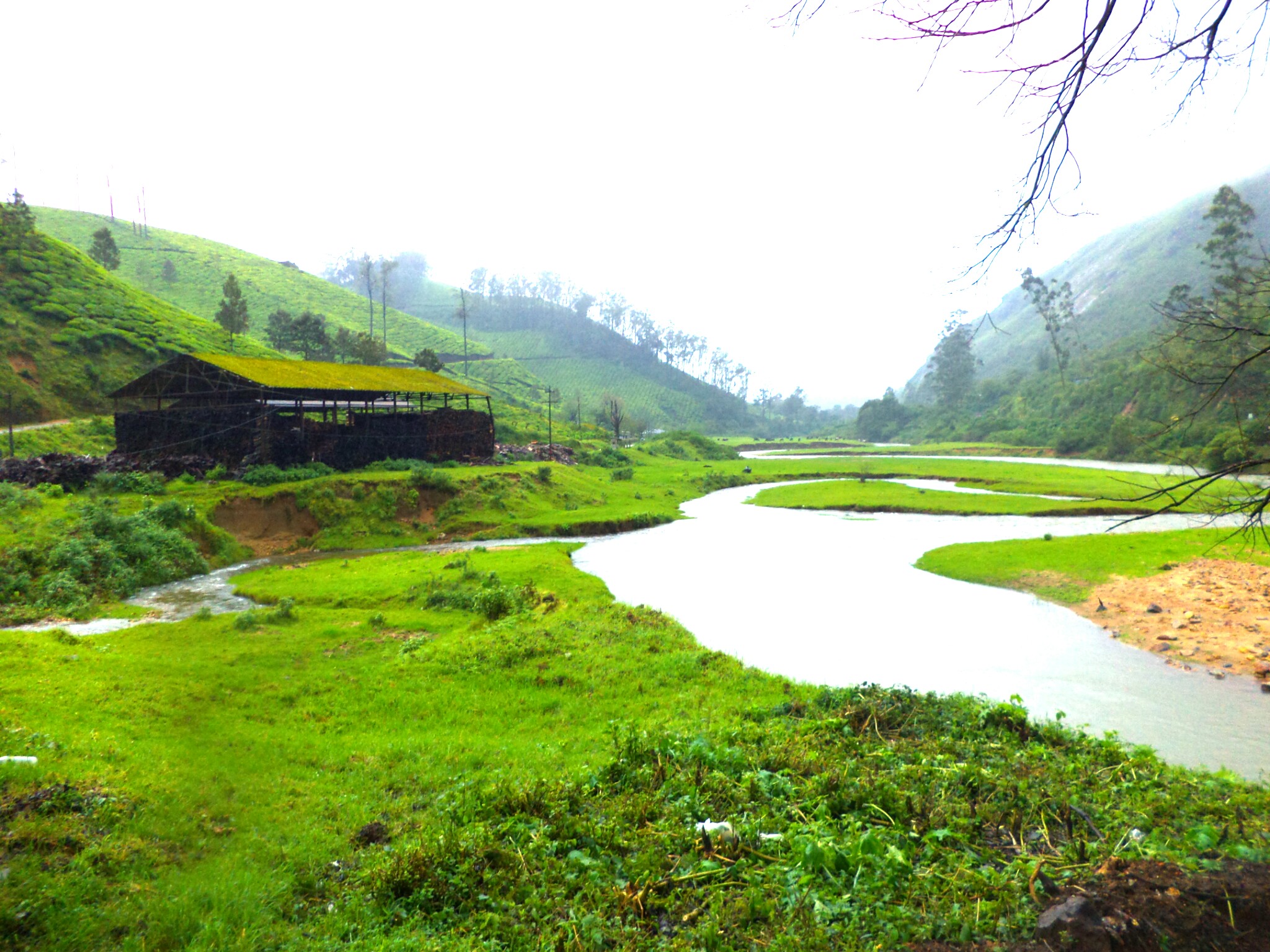 Munnar gallery 4