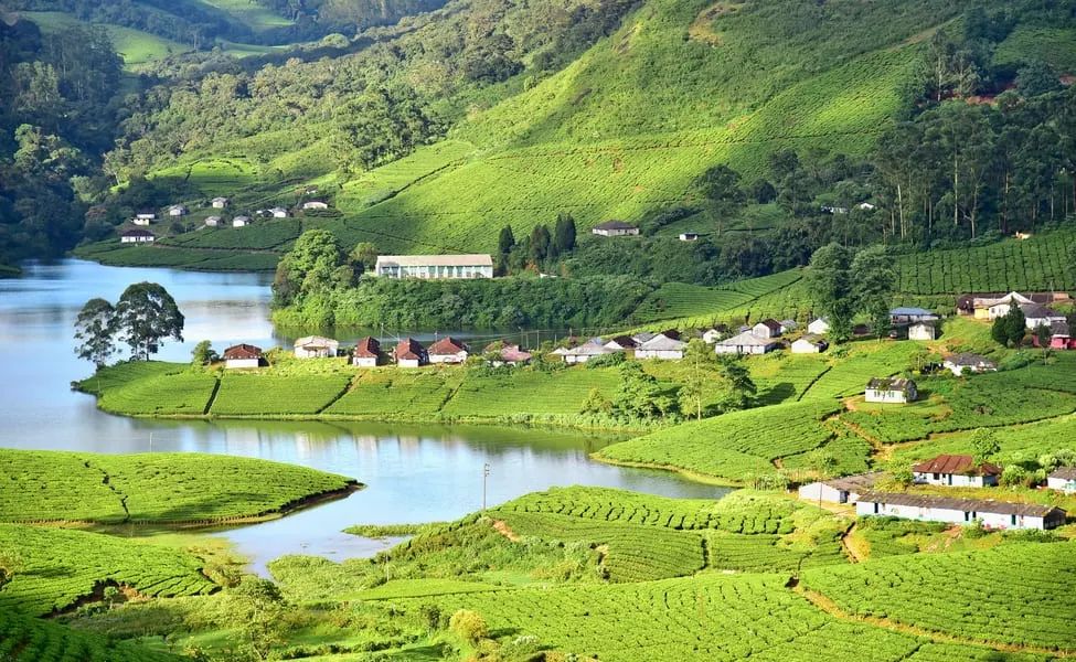 Munnar gallery 5