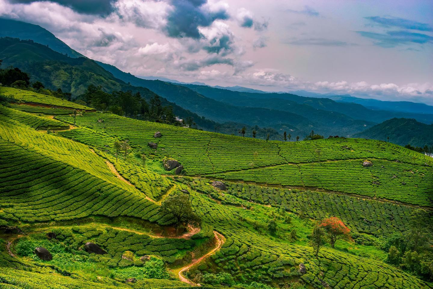 Munnar, Kerala — Hill Station