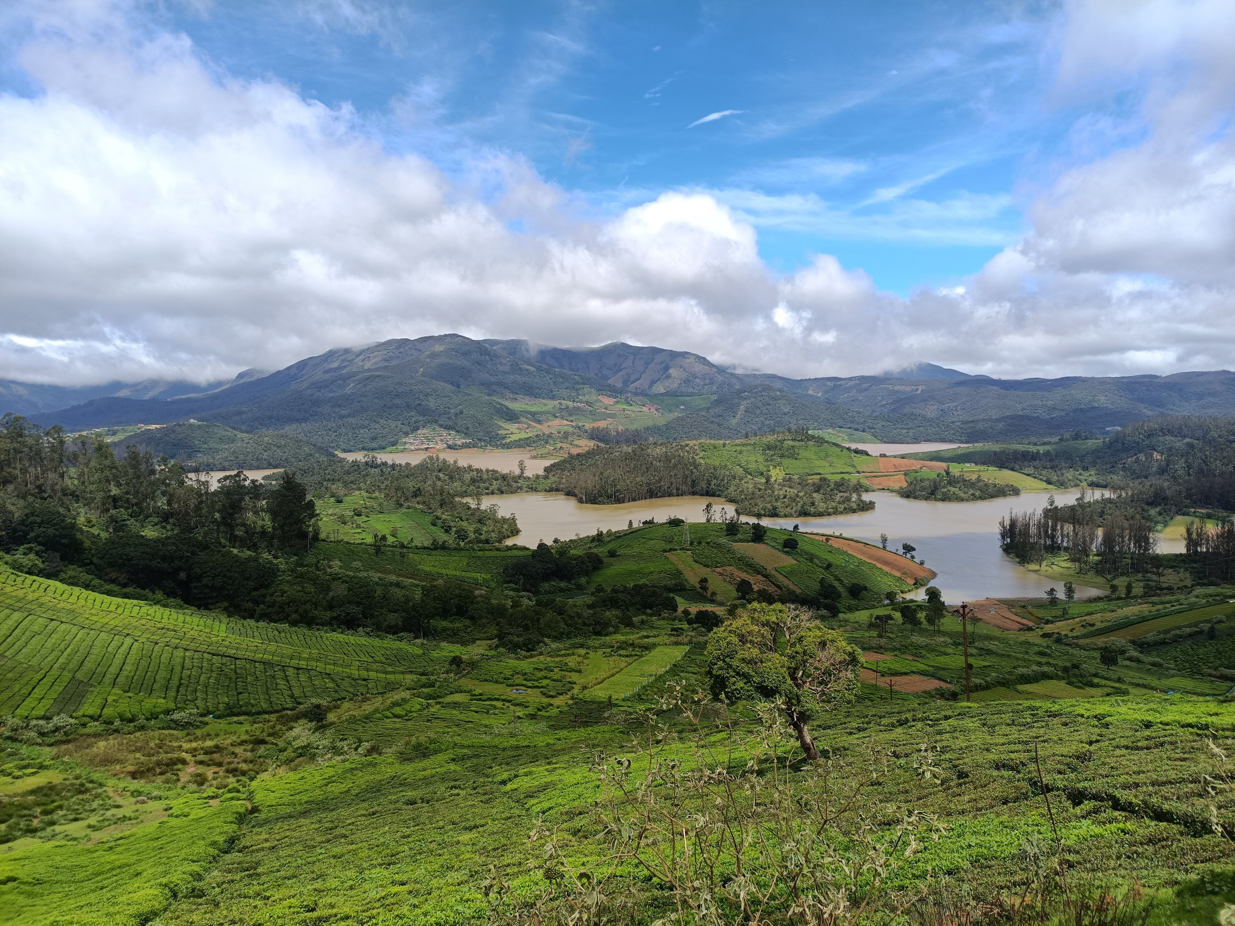 Ooty gallery 4