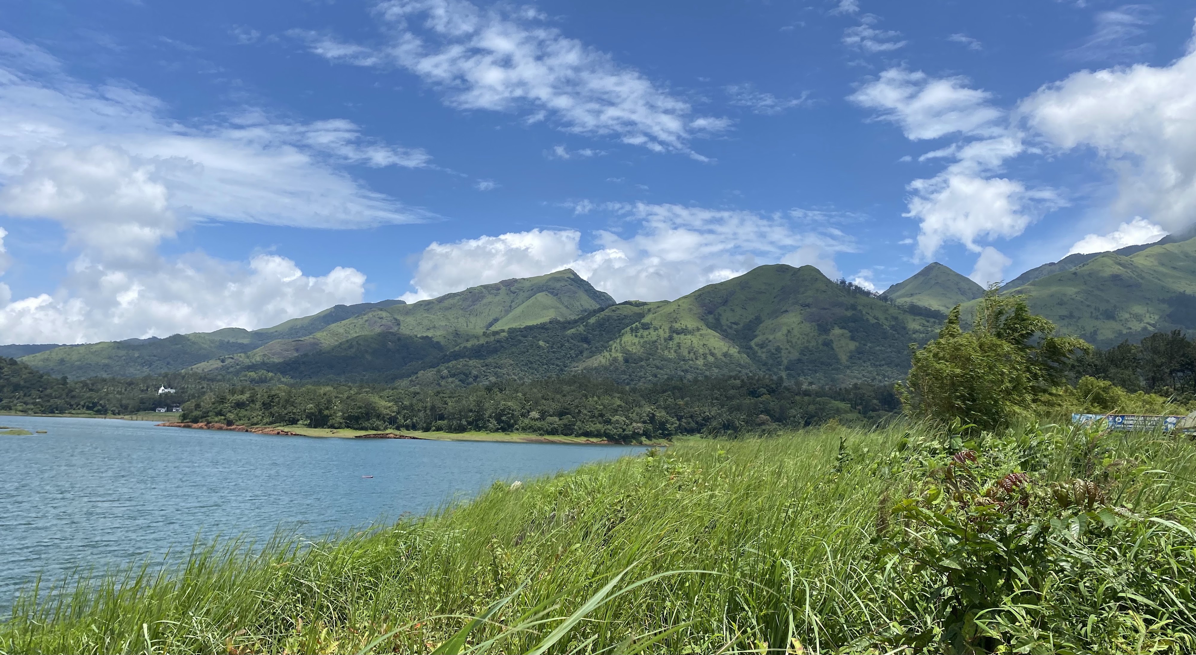 Wayanad, Kerala — Wildlife