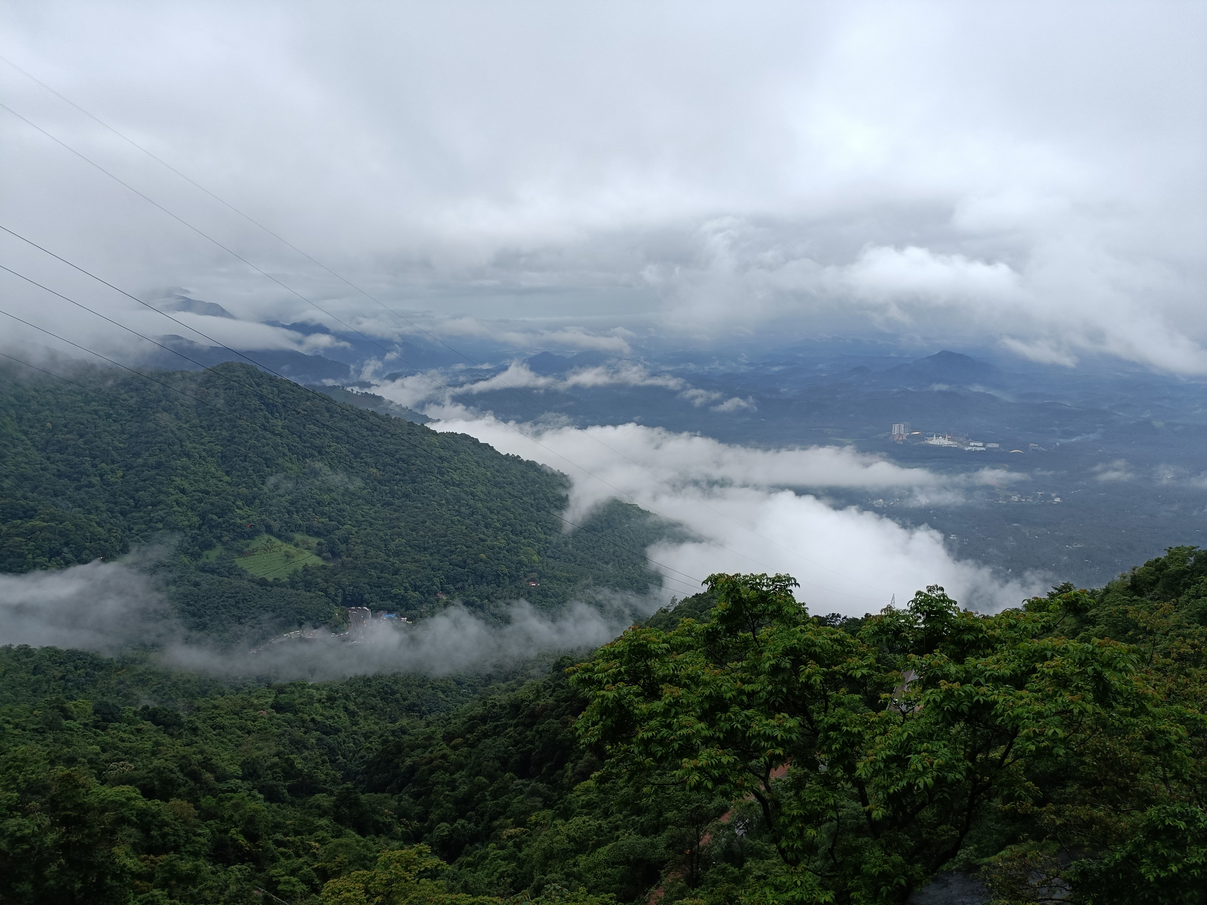 Wayanad gallery 5